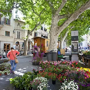 https://can-moragues-de-soller.allmallorcahotels.com